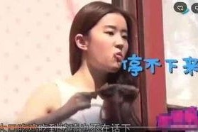 吃瓜娱乐圈合集视频,吃瓜视频大揭秘